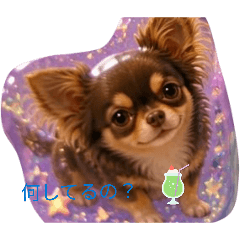 miko_20260530113628
