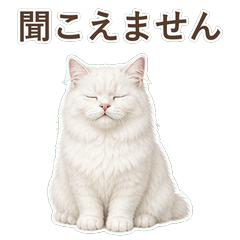 貓咪真心話 C101