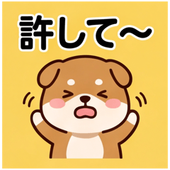 Sorry Mame Shiba Puppy