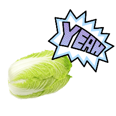 Cheese_20260530123811
