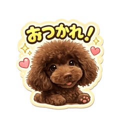 tommy_20260530131606
