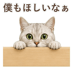 貓咪真心話 C075