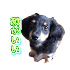 sora_20260530021510