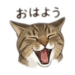 kiyoko_20260530063859