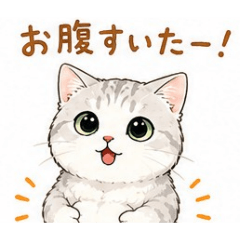 maki_20260530135135