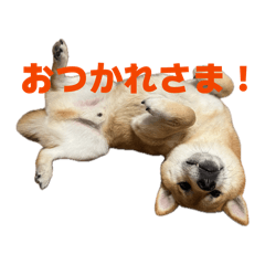 yuta_20260530143734