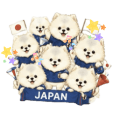 aoao_20260530153625