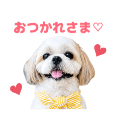 tom._20260530153819