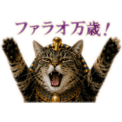 kiyoko_20260530154617