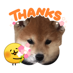 Ahioki_20260530154803