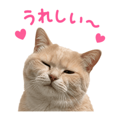 yuko_20260607212122