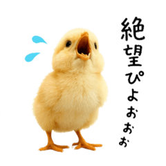 naaaachan_20260607014305