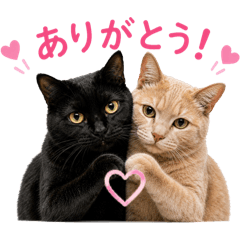 yuko_20260610115057