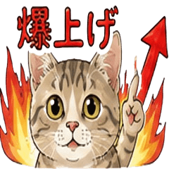 Relaxed stickers with investors5