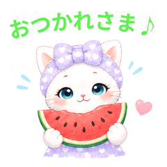 Everyday Cute & Chill Cat Myamya|summer