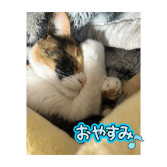 K_20260530091003
