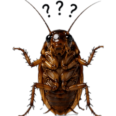 Big Stickers: Roach Slang & Pranks