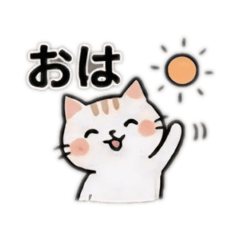 m-cha_20260527090943