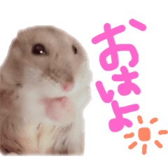 Feelings from the Hamster