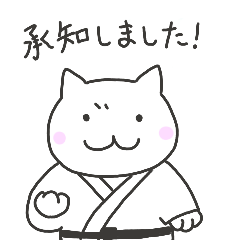 Martial Arts Cat