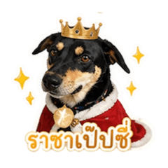 Tankun_20260430021127