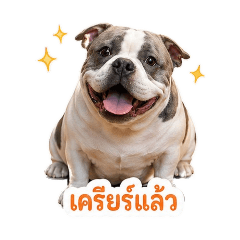 nattawan_20260430030900