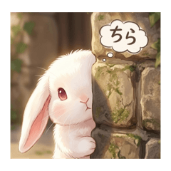 rabbit@2026