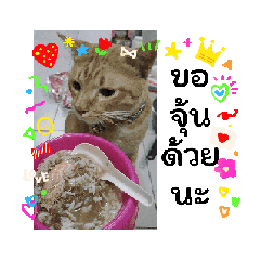 TK_20260611093902