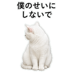 貓咪搞笑真心話 C086