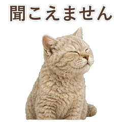 貓咪真心話 C073
