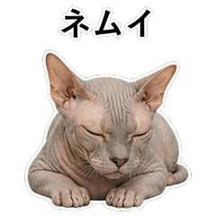 貓咪搞笑真心話 C068
