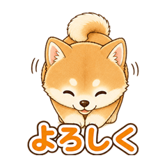 Everyday Shiba Pup