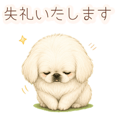 Pekimaru Polite Stickers