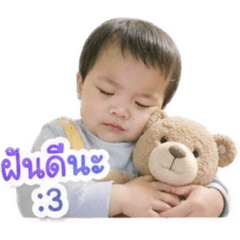Maple_20260430080740