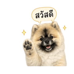 Ganrapee_20260430083157