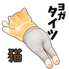 [Easy to Use] Yoga Tights Cat