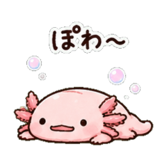 u-pa-ru-pa-1