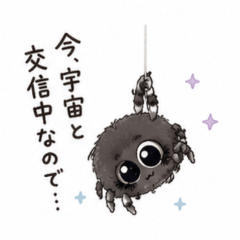 A spider with big, round eyes