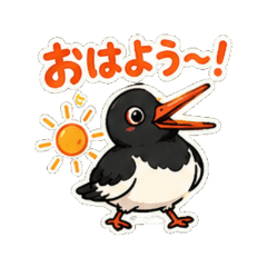 Oystercatcher - Daily Chat Stickers