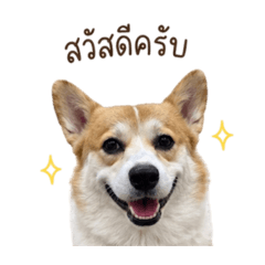 Akasa_20260430094553
