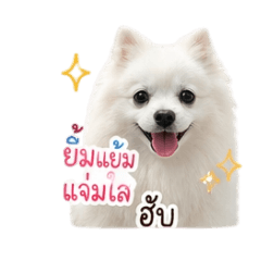 Pompom. 12