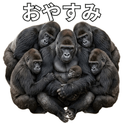 Gorillas Everywhere for Everyday Use