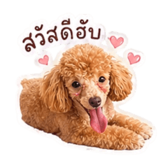 Minahpoodle2