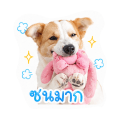 pimpim_20260430103221