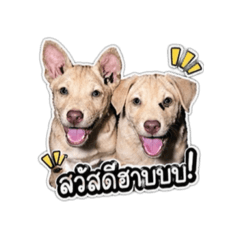 Kru Sai_20260430103258