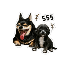 Spyyy_20260430103455