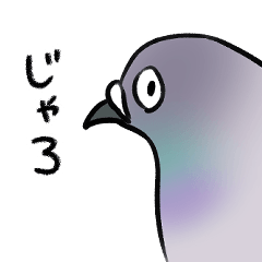 Hiroshima Dialect Pigeon