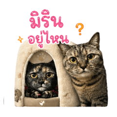 Earnny_20260430104944