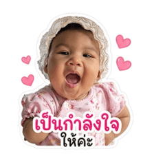 Palmy_20260430110743