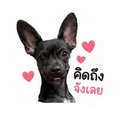 Takky_20260430111014